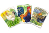 ‘Birds of a Feather’ Greeting Card Collection
