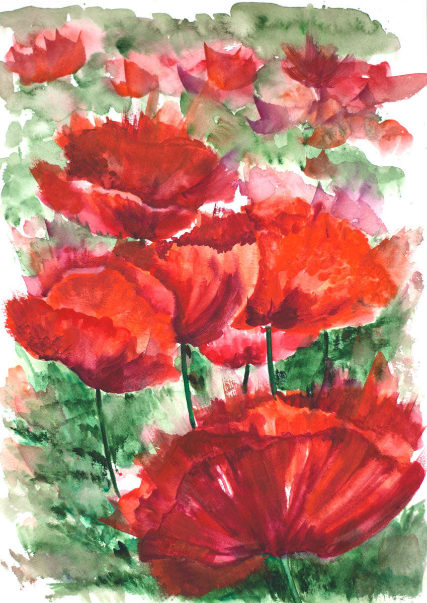 Red Poppies - Original Water Colour Painting