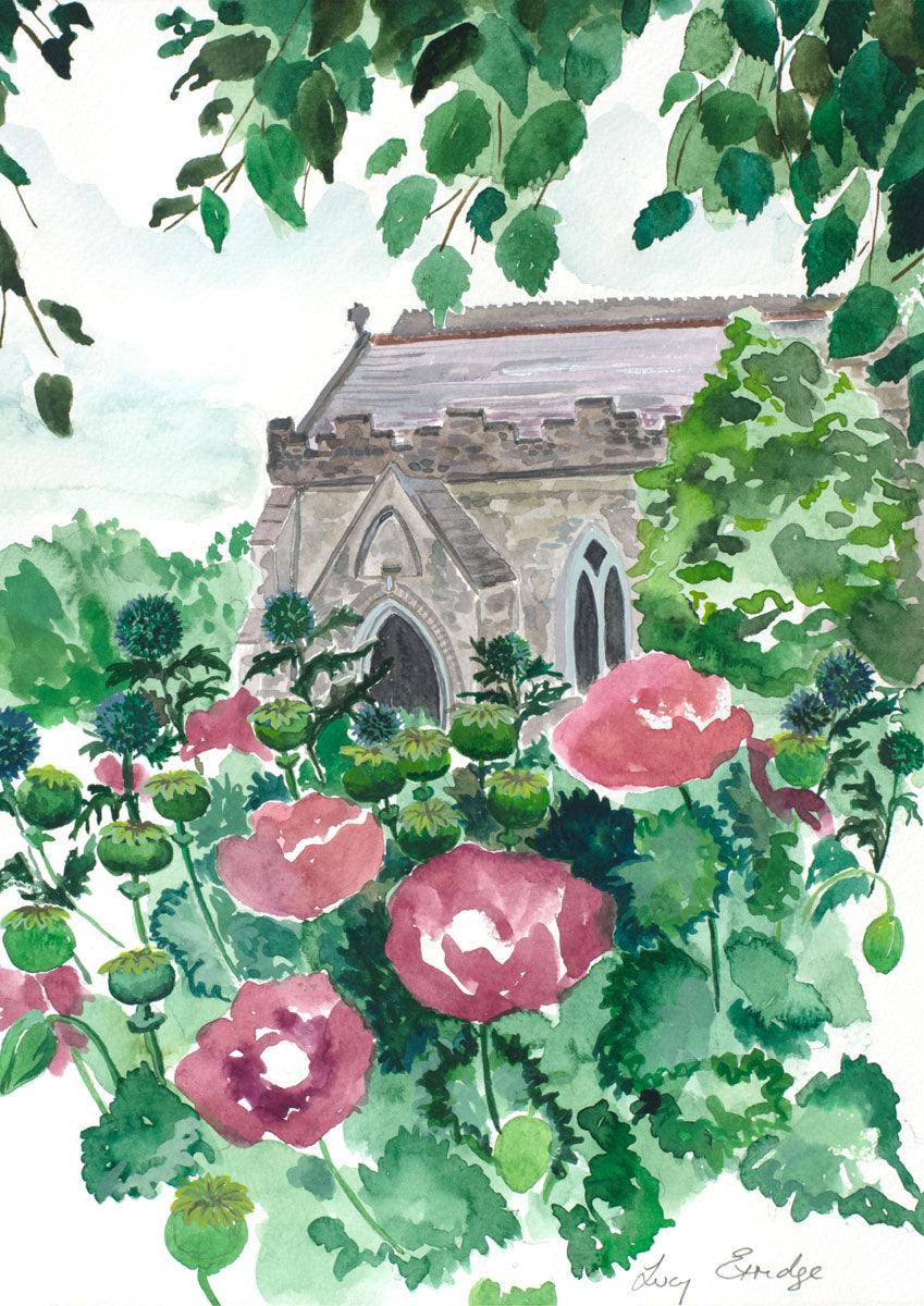Poppies in Adare - Original Water Colour Painting