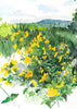 Meadow Yellow - Original Water Colour Painting