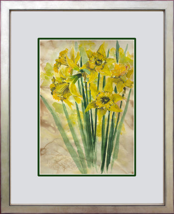 Daffodils - Original Water Colour Painting