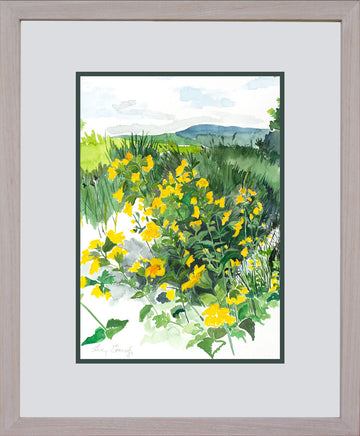 Meadow Yellow - Original Water Colour Painting