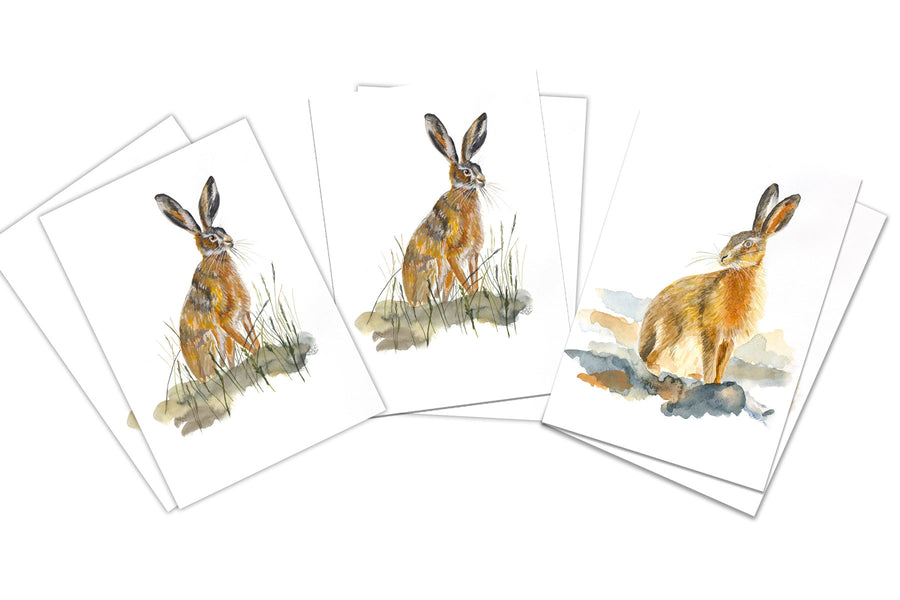 'Wildlife' Greeting Card Collection